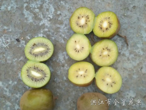 钦猕三号横截面对比图