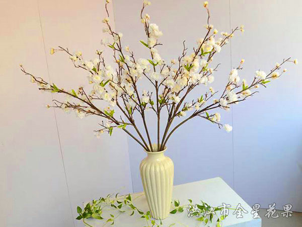 樱花恋
