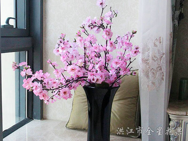 醉樱花