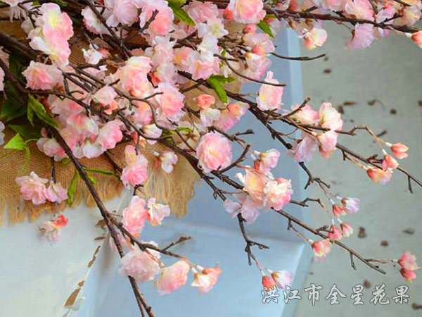 樱花花枝