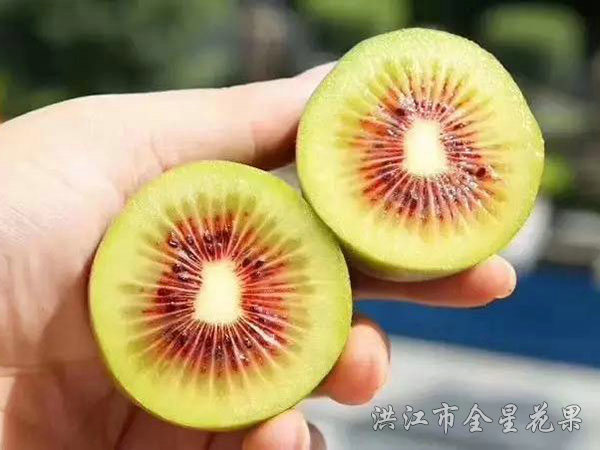 红心猕猴桃横截面