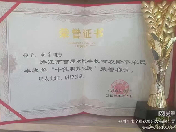 荣誉资质