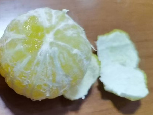 黄金贡橙