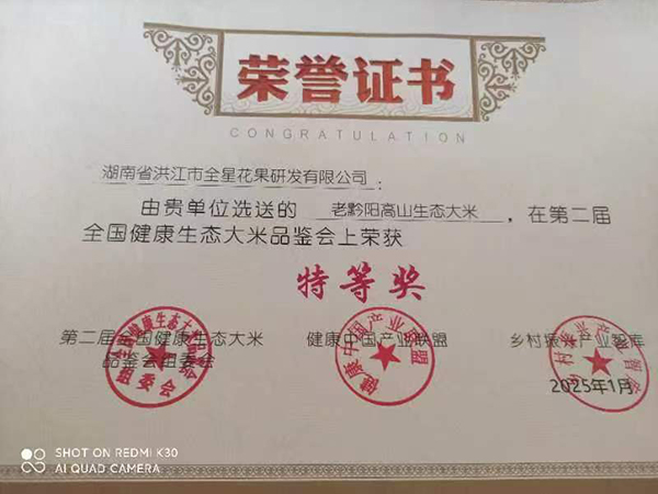 荣誉证书