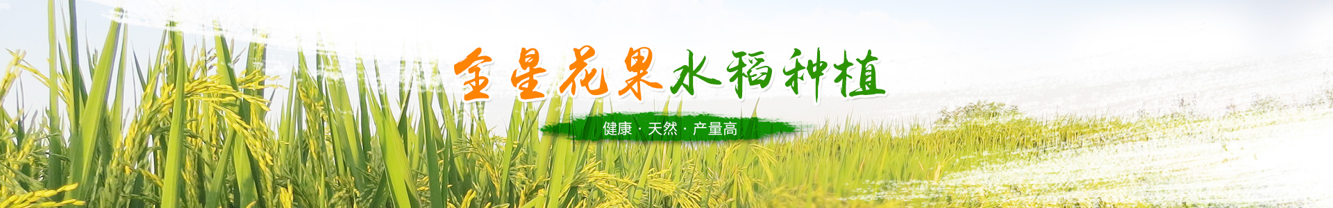 洪江花卉种植_洪江市全星花果研发有限公司