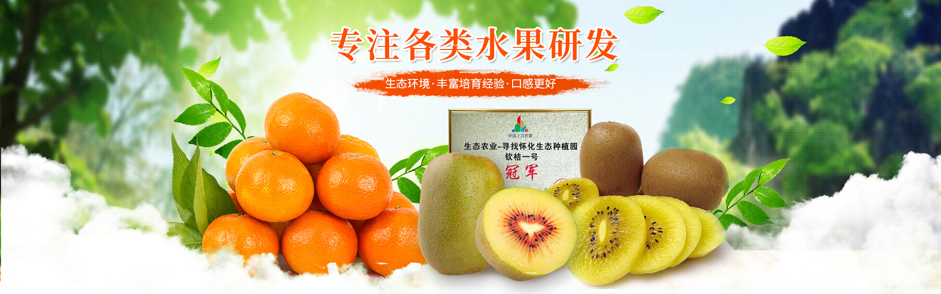 洪江花卉种植_洪江市全星花果研发有限公司