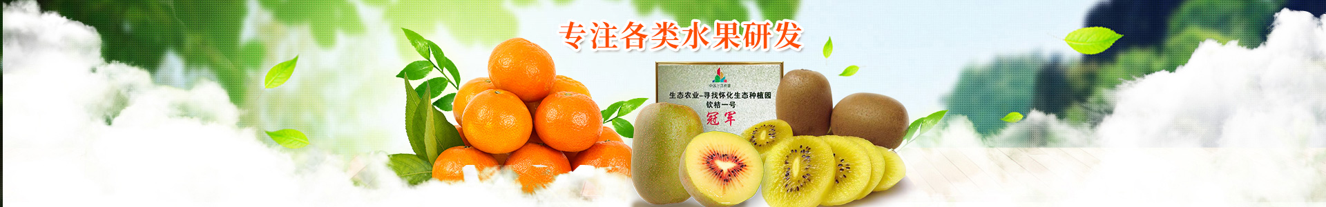 洪江花卉种植_洪江市全星花果研发有限公司