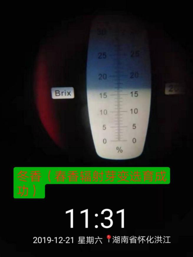洪江花卉种植,果树种植,水稻研种,洪江市全星花果研发有限公司